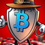 Pelarian Buronan Ponzi Kripto Rp2,5 Triliun Berhenti di Fiji - Ratusan Juta SHIB Ikut Disita