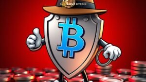 Pelarian Buronan Ponzi Kripto Rp2,5 Triliun Berhenti di Fiji - Ratusan Juta SHIB Ikut Disita